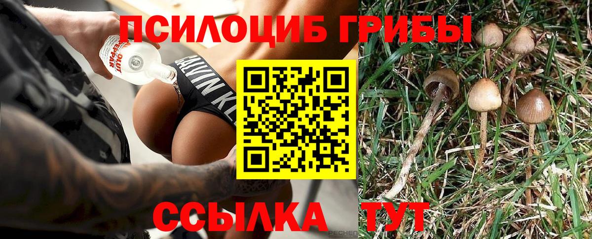 Псилоцибиновые грибы мицелий Муром