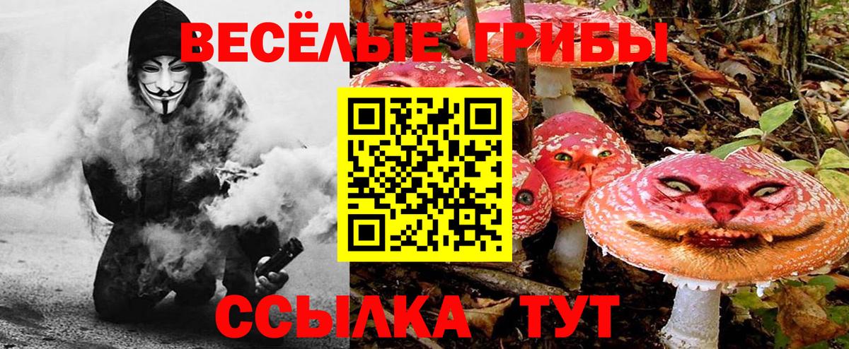 Галлюциногенные грибы Psilocybine cubensis  Вход с VPN  Муром 